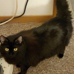 Meet your Posher, Joseph